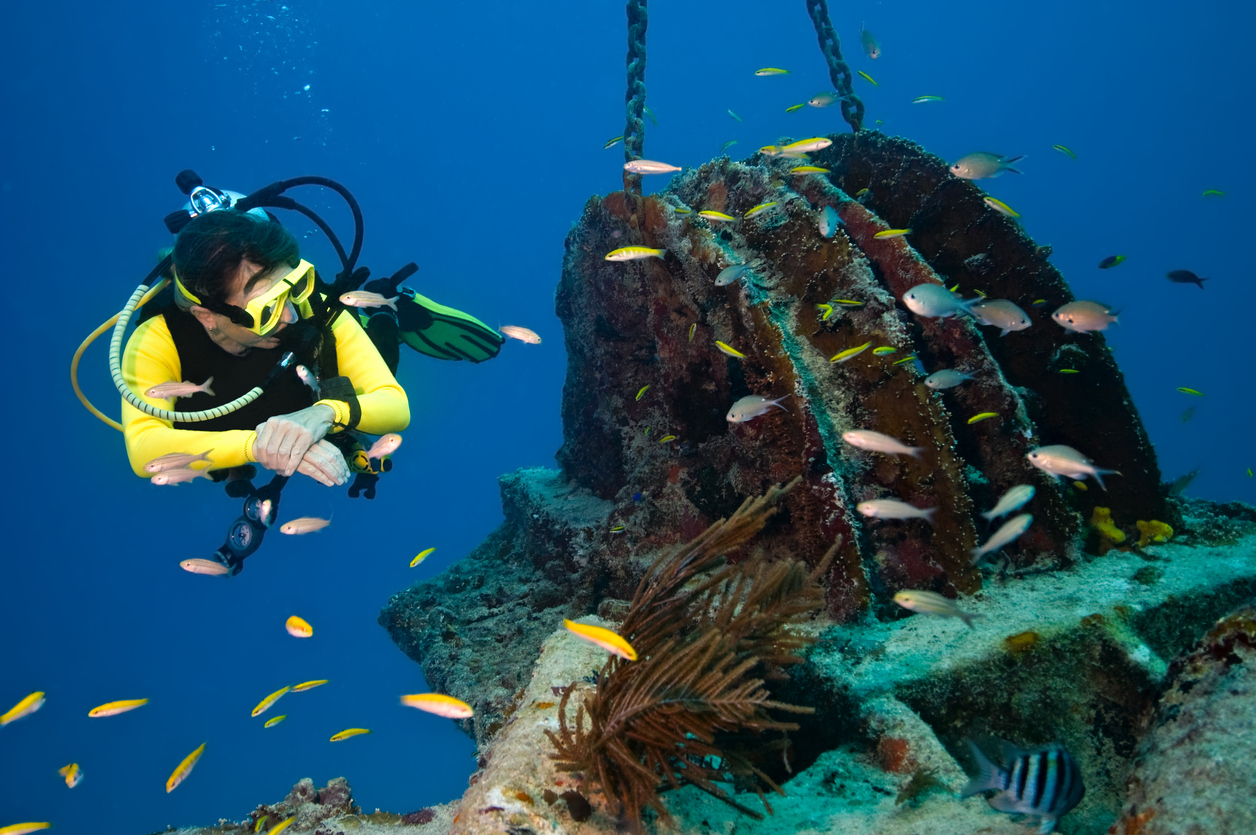 Red Sea Diving Resorts Explore Diving Red Sea Scuba Dive Red Sea