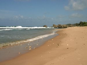 Bathesheba Shores Barbados