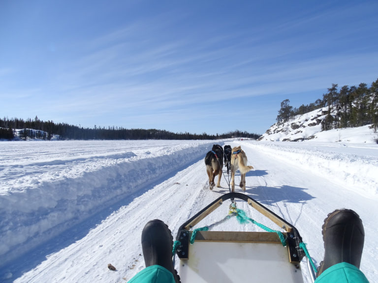 Dog Sledding in Quebec | Dog Sledding in Canada | Dog Sledding