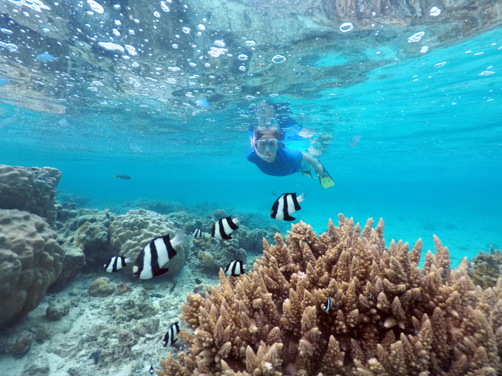 Snorkeling off the Cook Islands