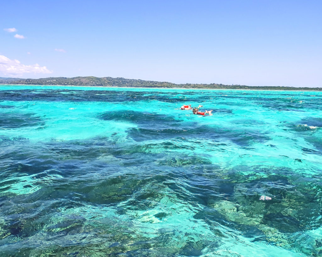 Snorkeling off Tobago