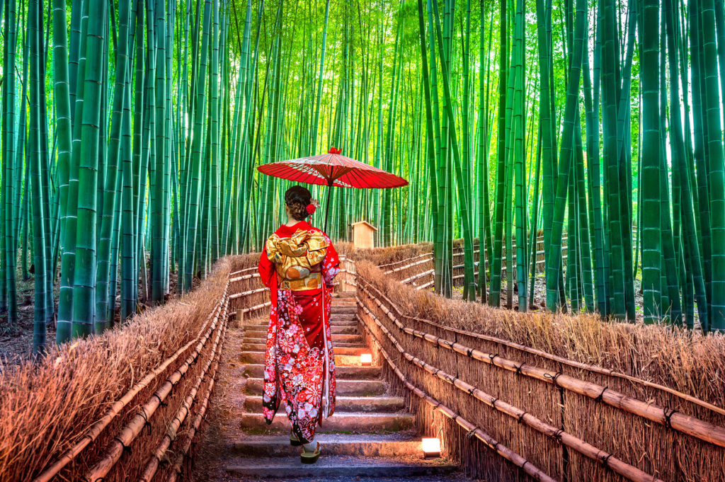 Bamboo Forest