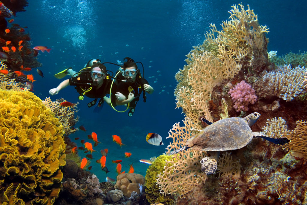 Diving off a coral reef