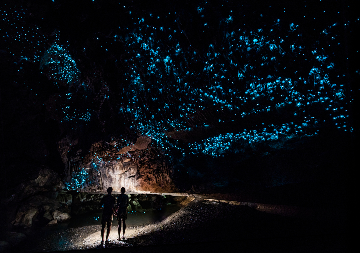 Glowworm cathedral in New Zealand