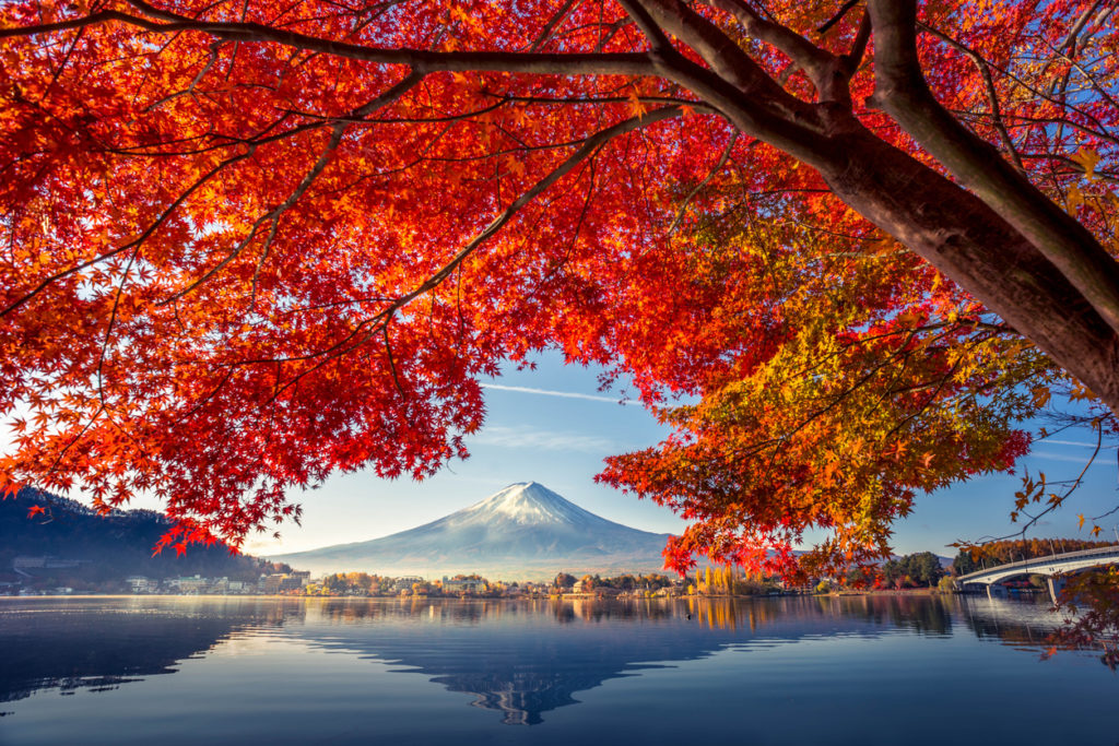 Japan in Autumn