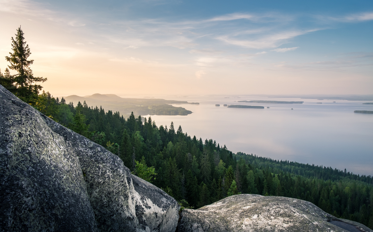 Koli National Park