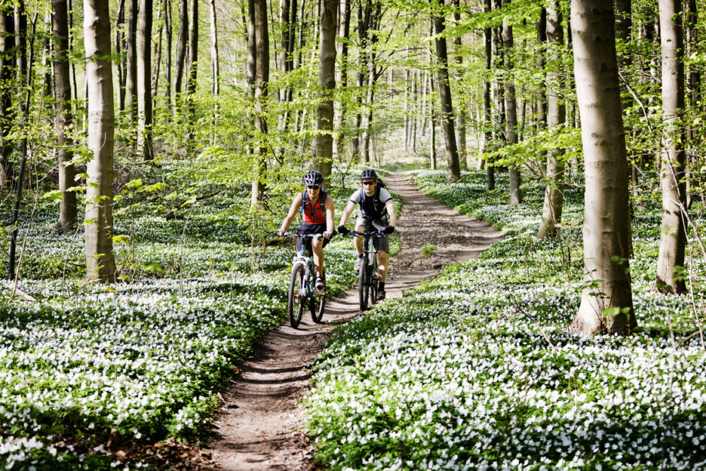 Mountain biking