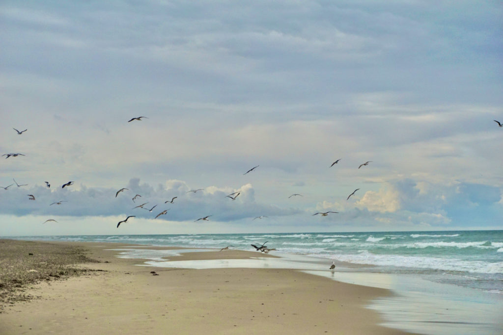 Skagen beach