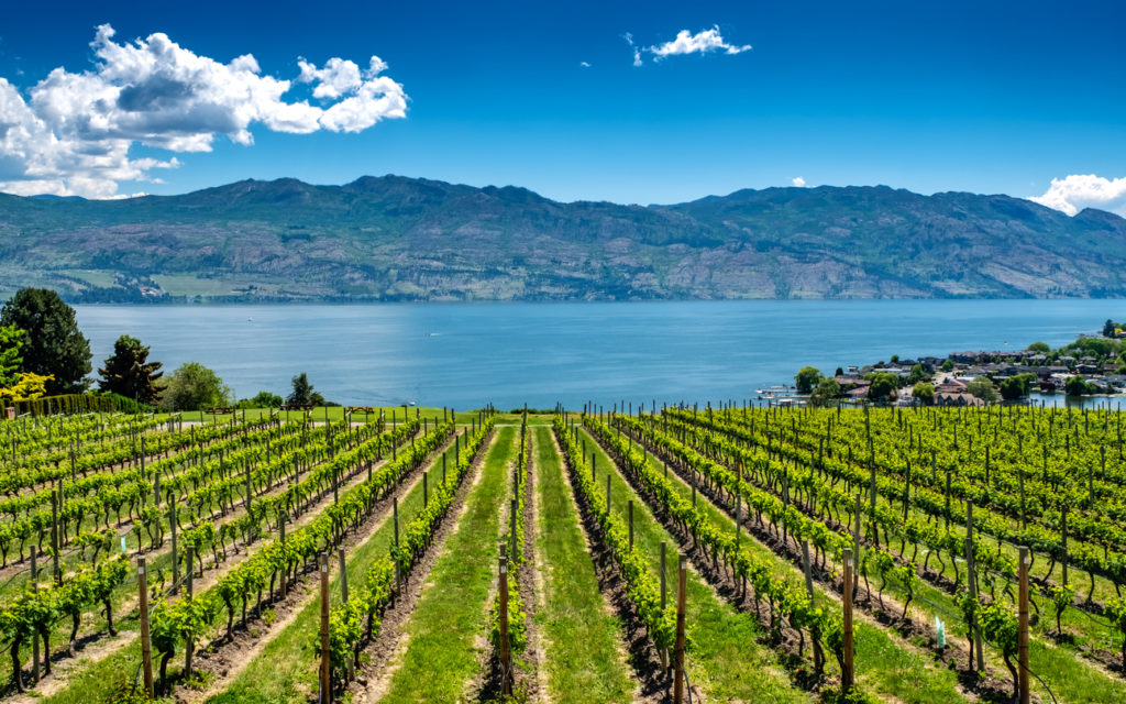 The Okanagan Valley