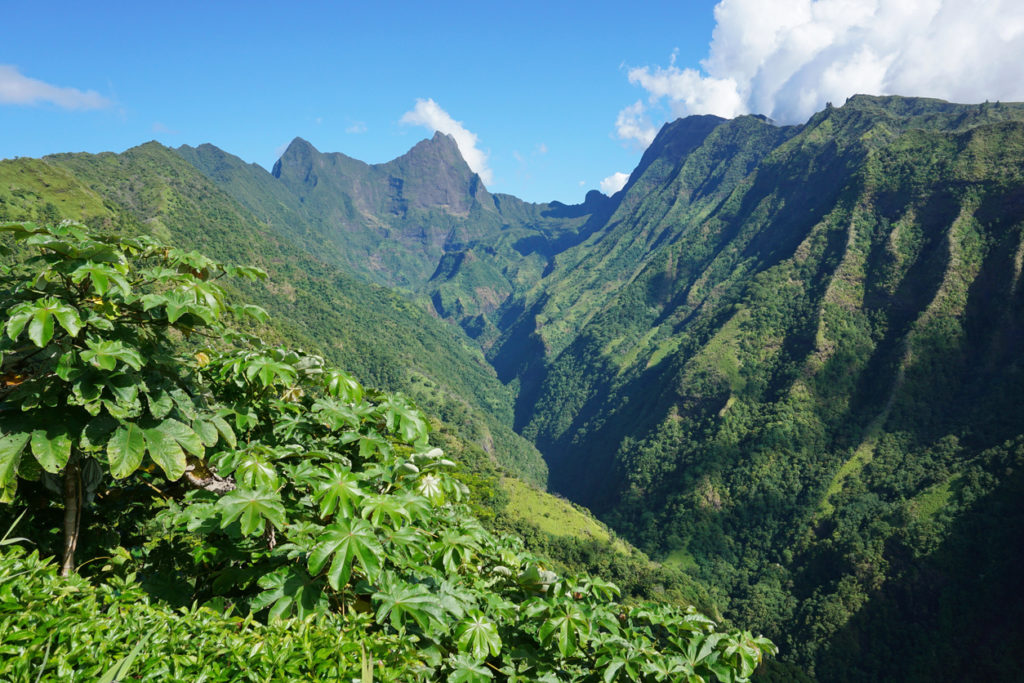 The Tahiti mountain landscape