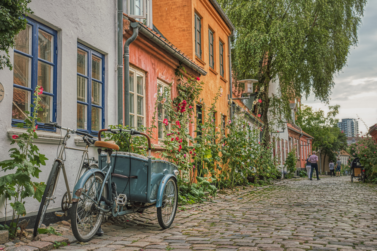 Traditional Danish Cargo Bike