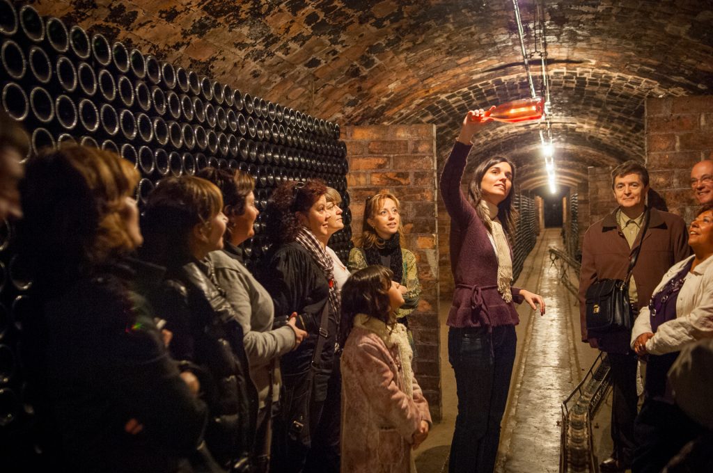 Wine Tours at Cavas Nadal